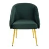 Silver Orchid Sauda Chair - Green -Gourmet Interiors 45b9ea42 6017 4ef8 91c7 5c6272509901