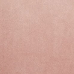 Madeline Chair In Velvet & Gold Metal - Set Of 2 - N/A - Blush Pink -Gourmet Interiors 53377499 4516 4e50 99a8 d304d859720a