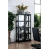 Wooden Curio Cabinet With Two Glass Doors And Four Shelves, Black - Black -Gourmet Interiors bdc3db06 c202 4050 8e71 c3ad5af8fe92