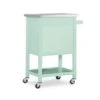 Schley Apartment Cart Green 2 Schley Apartment Cart Green -Gourmet Interiors f24f7081 4cb6 4e29 ad02 f286d4ea63b3